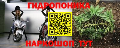 jwh Донской