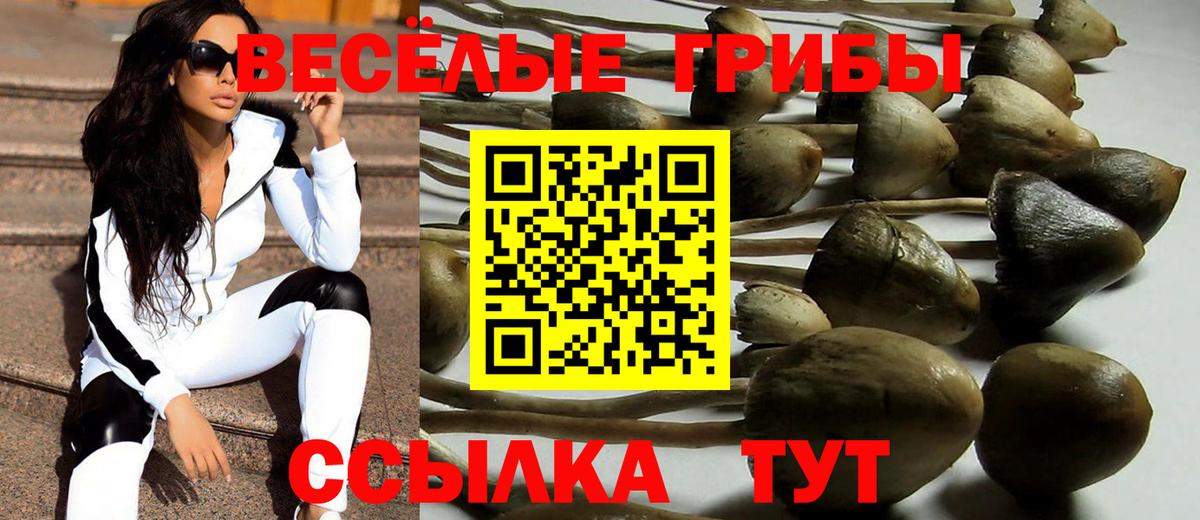 Псилоцибиновые грибы мицелий Кызыл