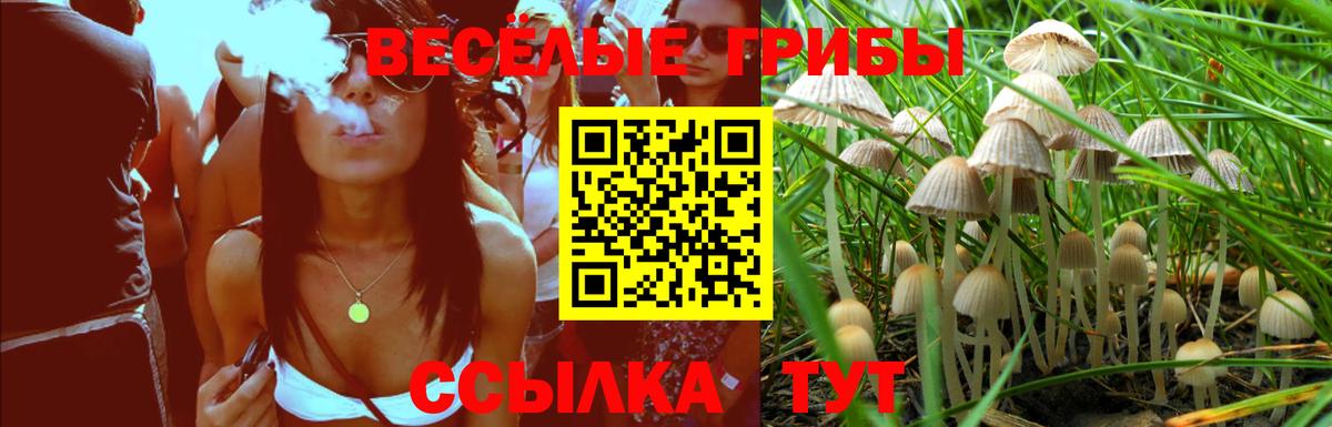Псилоцибиновые грибы MAGIC MUSHROOMS  Псилоцибиновые грибы Cubensis  Вход с VPN  Кызыл 